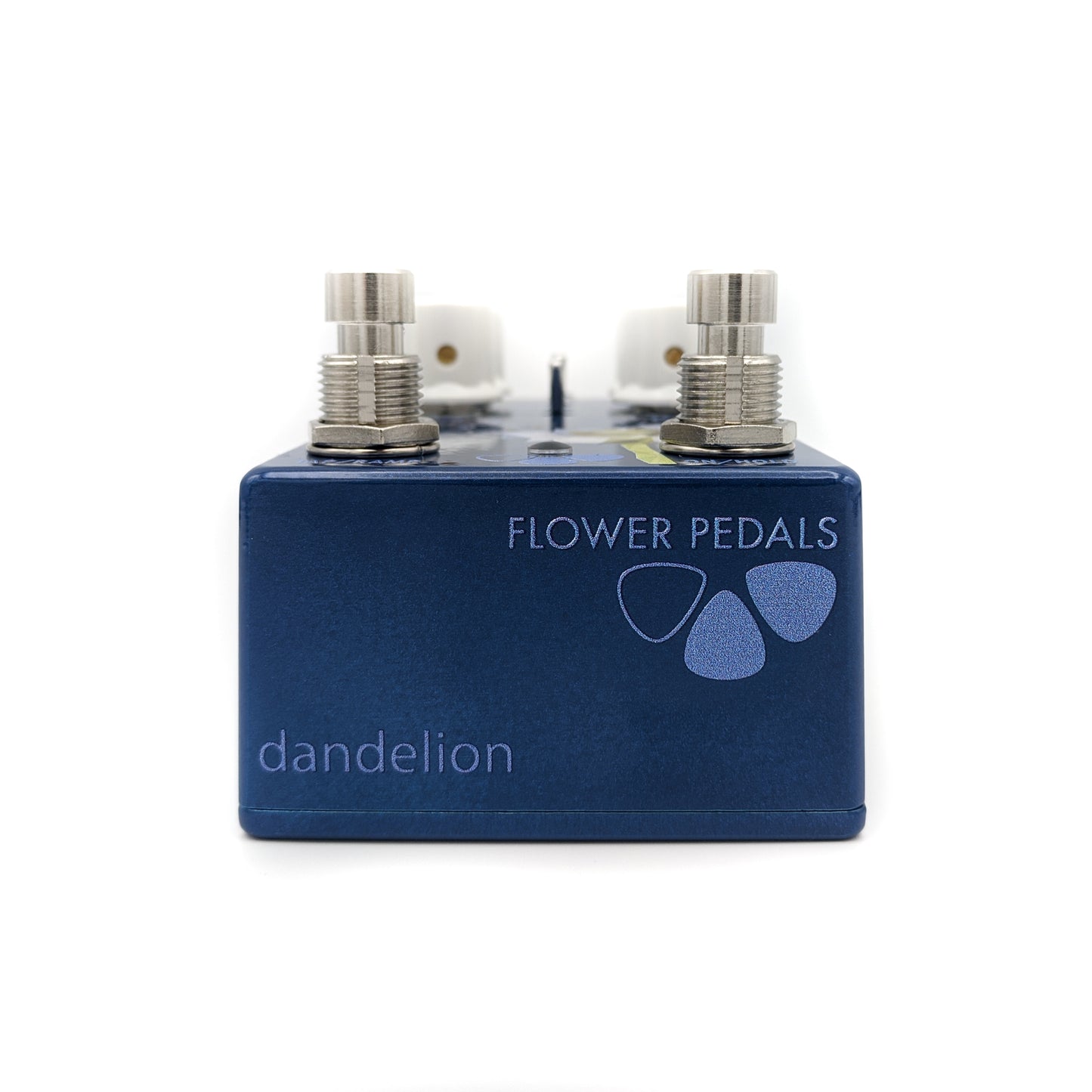 Dandelion Tremolo